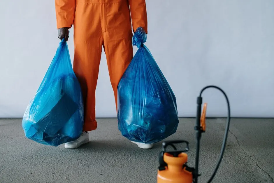 Spray foam removal near me in Bridgwater, Somerset